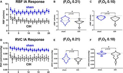 Chronic intermittent hypoxia promotes glomerular hyperfiltration and potentiates hypoxia-evoked decreases in renal perfusion and PO2